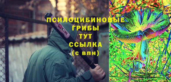 прущие крисы Горняк