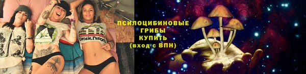 гидропоника Горно-Алтайск