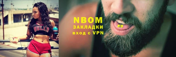 прущие крисы Горняк