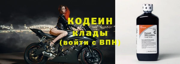 прущие крисы Горняк