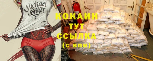 прущие крисы Горняк
