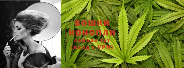 прущие крисы Горняк