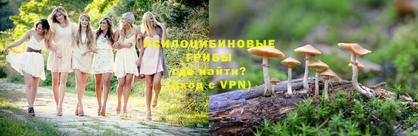 прущие крисы Горняк