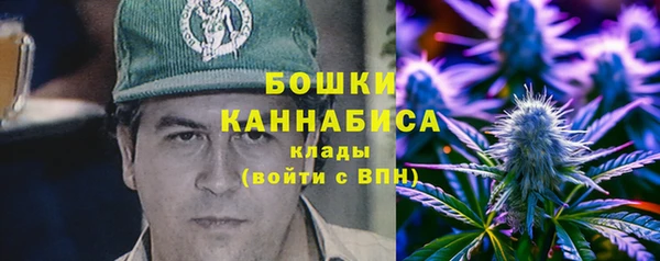 прущие крисы Горняк